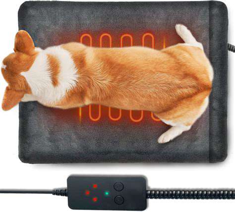 AddressingSpecificPetNeedswithHeatedMats