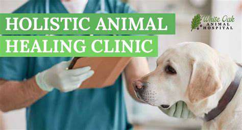 AlternativestoCosmeticProcedures:PromotingHolisticPetCare