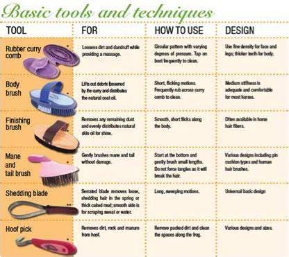 DIY Pet Grooming: Tips and Tricks for Beginners