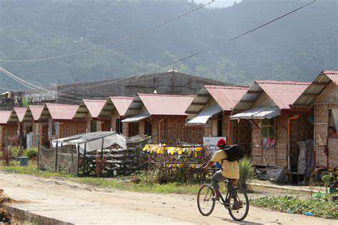 BeyondBasicCare:SheltersasTemporaryHavens