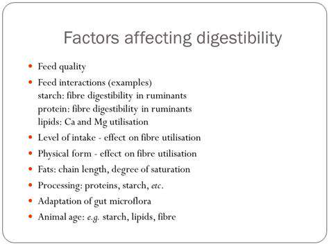 The Science of Digestibility in Pet Food