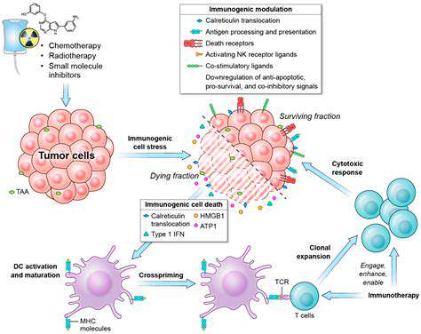 Cancer Treatment Options for Pets: From Chemotherapy to Immunotherapy