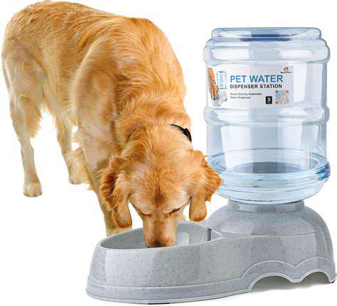 Automated Toy Dispensers for Bored Pets