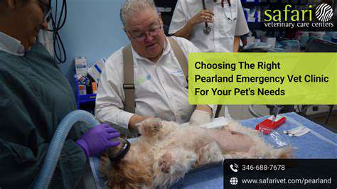 ChoosingtheRightEmergencyVetClinic