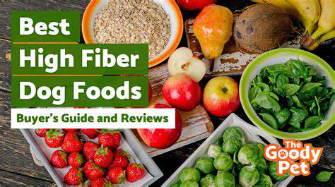 ChoosingtheRightFiberSourcesforYourPet