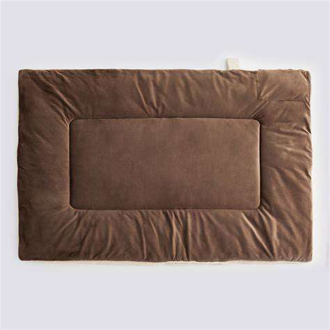 The Benefits of Heated Pet Mats