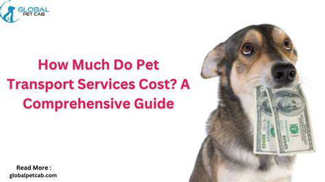 ChoosingtheRightPetTransportService:FactorstoConsider