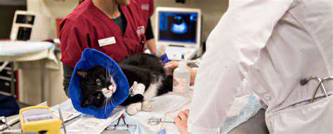 Oral Surgery for Pets: When Is It Necessary?