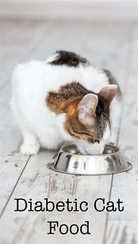 Managing Diabetes in Cats: Diet and Insulin