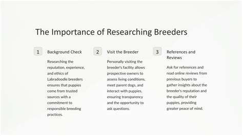 Supporting Ethical Breeders: What to Look For