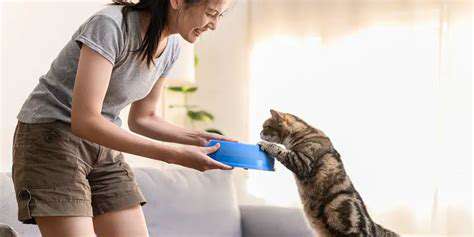 FeedingYourPetforLong-TermImmunity:MakingHealthyChoicesaHabit