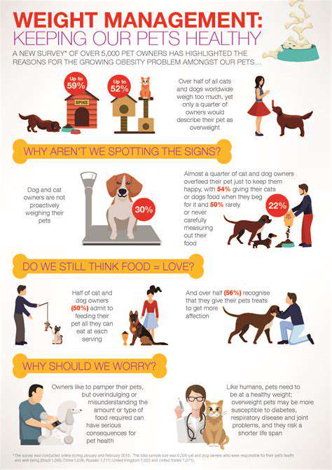 FiberandWeightManagementinPets