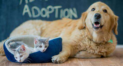 The Benefits of Foster Pet Parenting: Making a Difference