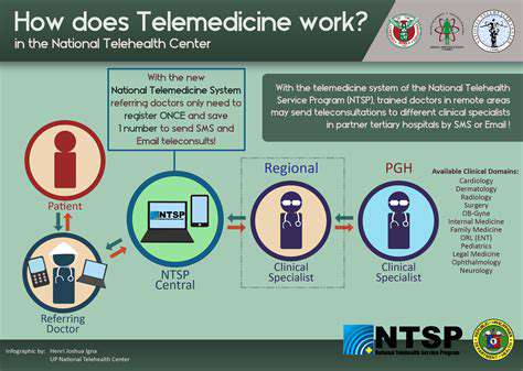 HowDoesVetTelemedicineWork?