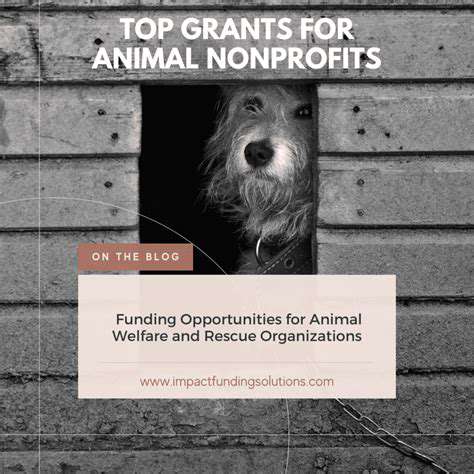 IdentifyingFundingOpportunitiesforAnimalRescues
