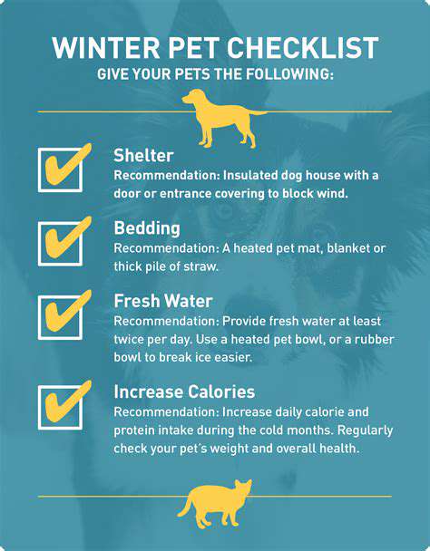 Understanding Pet Behavior in Cold Weather