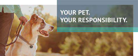 X Rays and Ultrasounds for Pets: Diagnostic Imaging