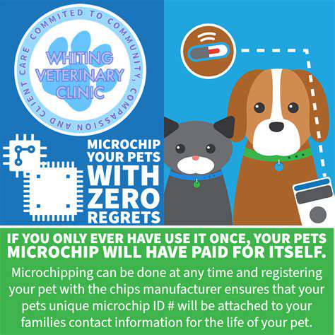 Lost Pet Prevention: Steps to Take Before It Happens
