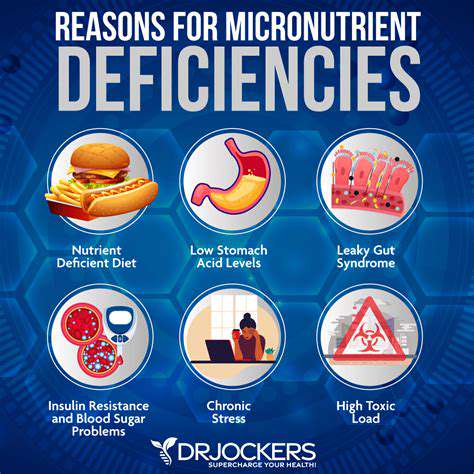 NutritionalDeficienciesandCognitiveImpairmentinCats