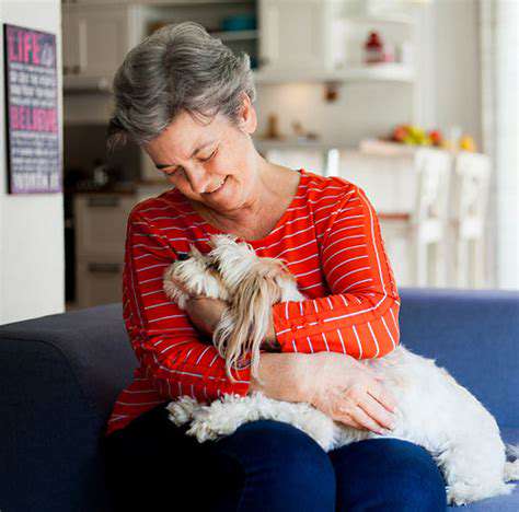 In Home Pet Care: A Personalized Approach for Your Pet