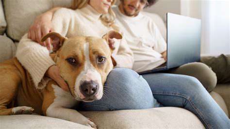 The Legal Aspects of Pet Ownership in Apartments
