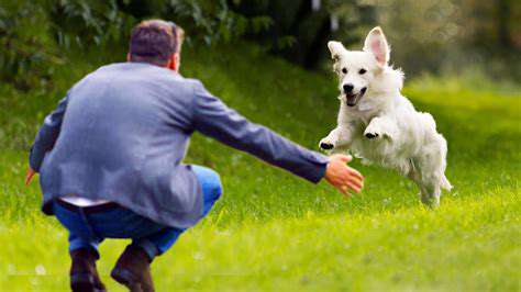 Pet Friendly Evacuation Centers: Finding Shelter