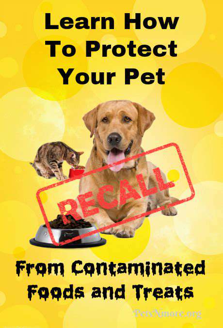 The Truth About Pet Food Recalls: Staying Informed