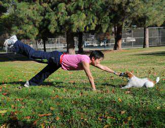 Preventing Pet Injuries: A Safety Checklist