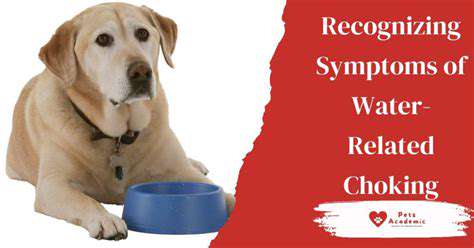 Water Safety for Dogs: Swimming Pool and Beach Precautions