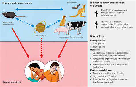Leptospirosis in Pets: Understanding the Risk