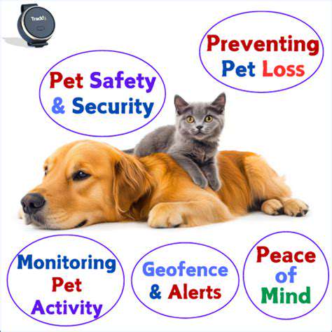 GPS Trackers for Pets: Keeping Tabs on Your Adventurous Companion