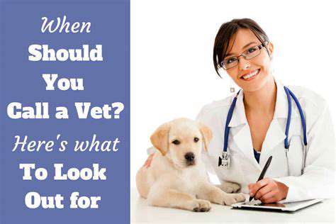 Pet First Aid and CPR: Lifesaving Skills for Owners