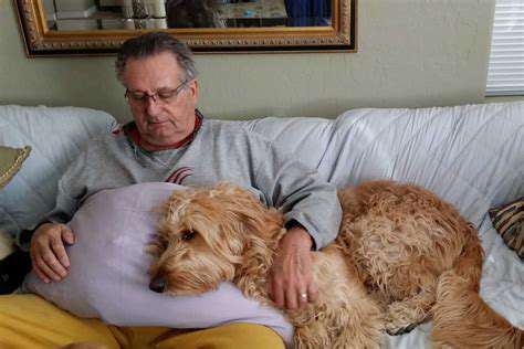 Therapy Dog Training: Helping Others Through Canine Companions