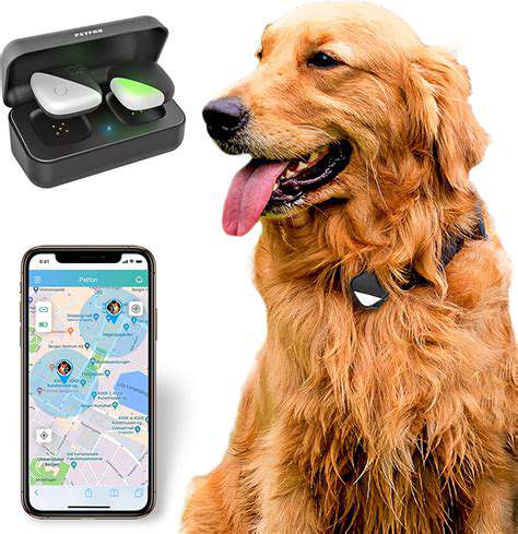 SettingupandUsingYourPetGPSTracker