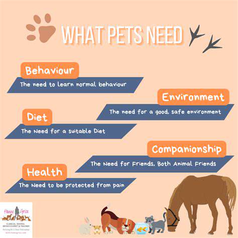 SpecializedCareforPetswithMedicalNeeds