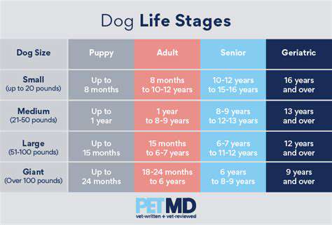 The Importance of Expert Authored Pet Articles