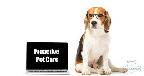 The Benefits of Regular Health Screenings for Pets