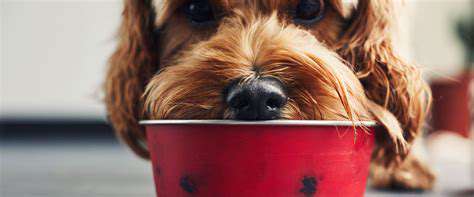 The Economic Impact of the Pet Care Industry