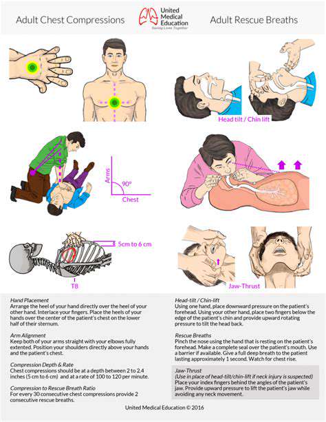TheEffectivenessofBSLs:ACriticalExamination