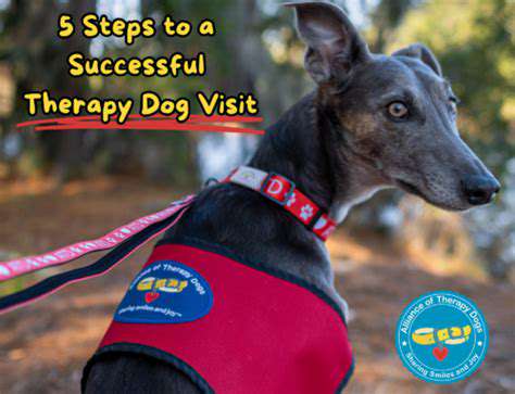 TheFoundationofaSuccessfulTherapyDog:ComprehensiveTraining