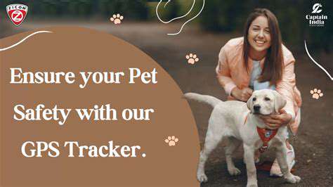 Smart Pet Tags with QR Codes for Emergency Info