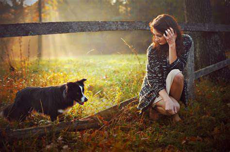 The Interplay of Pet Tech and Human Animal Bond