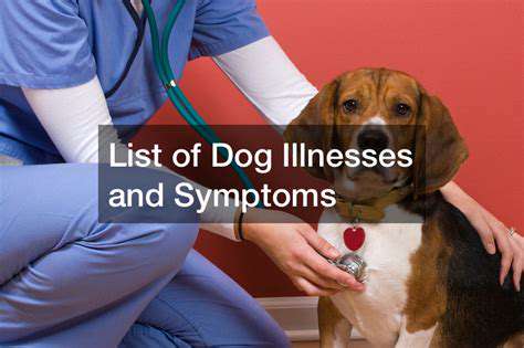 TheImpactonPetHealth:SymptomsandDiagnosis