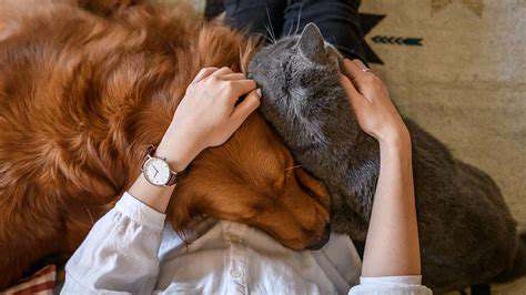 TheImportanceofWarmthforYourPet'sComfortandHealth