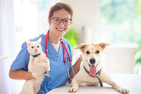 ThePowerofRegularVeterinaryCheck-ups