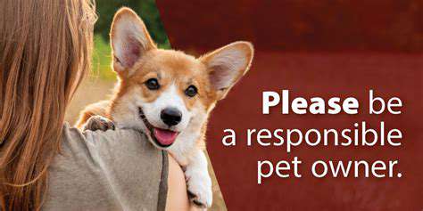The Ethics of Cosmetic Pet Surgery: Tail Docking, Ear Cropping