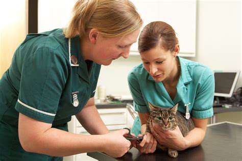 The Importance of Pet Obesity Awareness