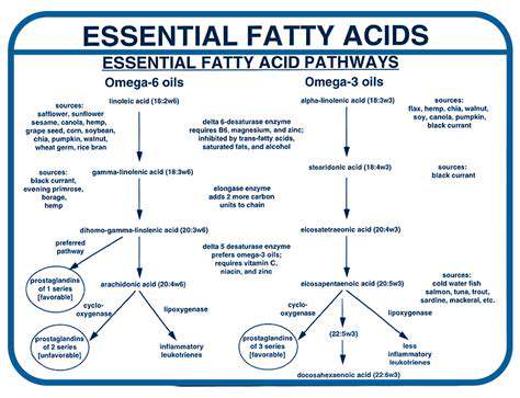 TheVitalRoleofEssentialFattyAcids