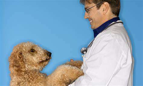 WhatisVeterinaryChiropracticCareforPets?