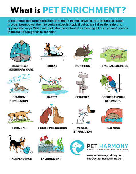 Preventing Pet Injuries: A Proactive Approach
